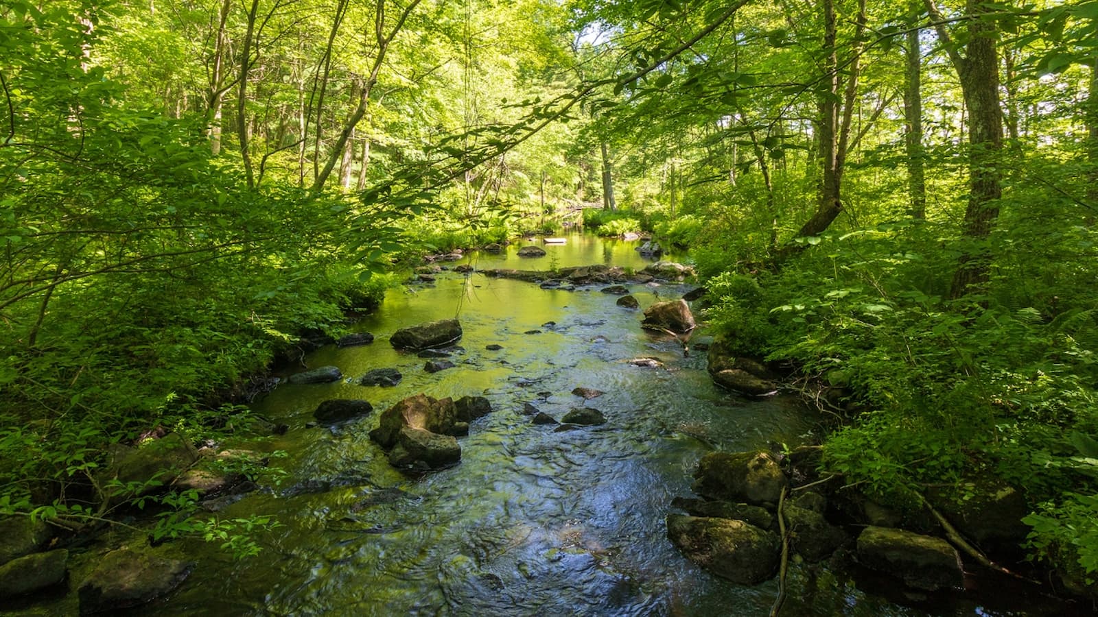 photo of Gay City State Park