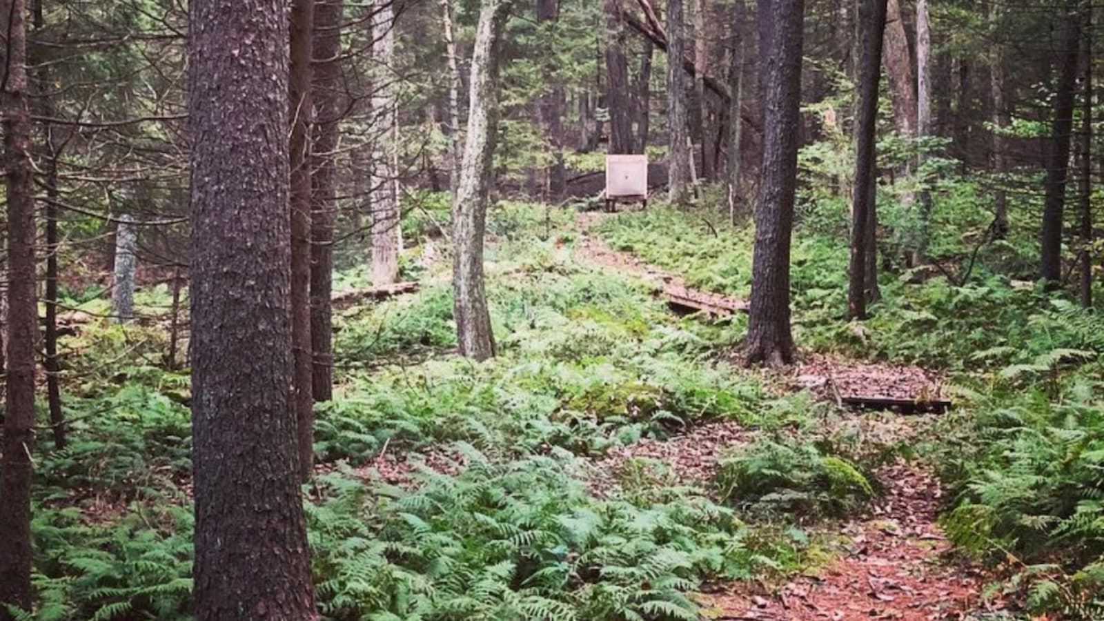 photo of Nye Holman State Park